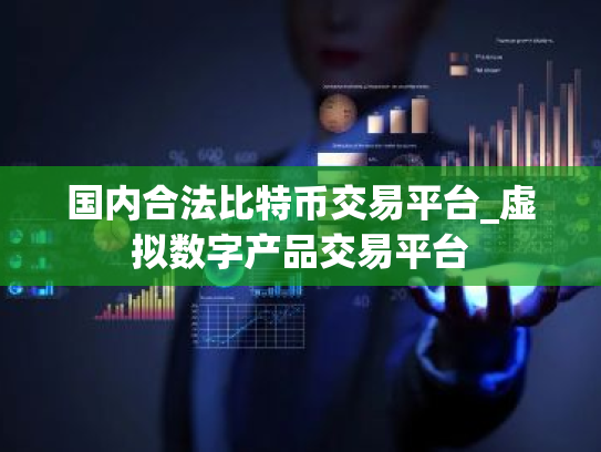 国内合法比特币交易平台_虚拟数字产品交易平台