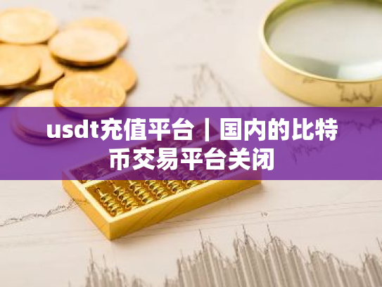 usdt充值平台|国内的比特币交易平台关闭