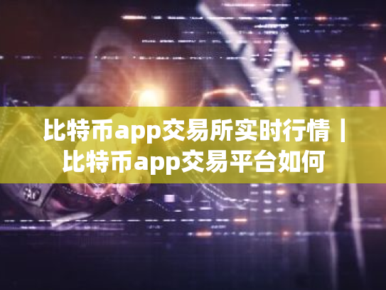 比特币app交易所实时行情|比特币app交易平台如何