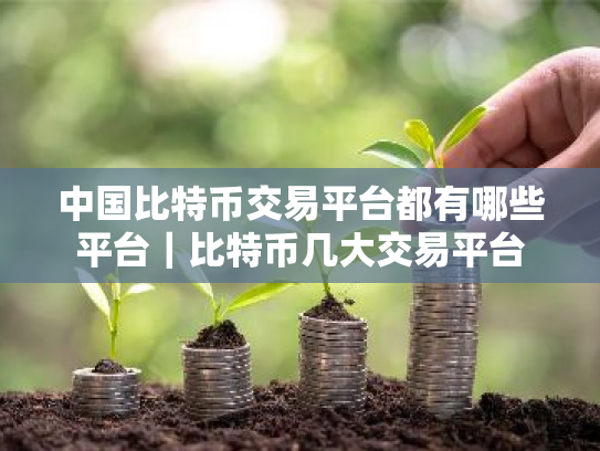 中国比特币交易平台都有哪些平台|比特币几大交易平台