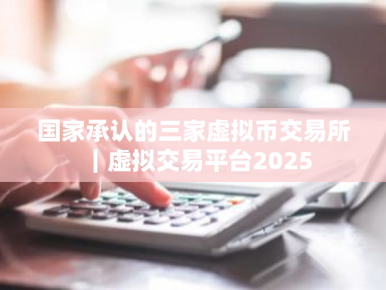国家承认的三家虚拟币交易所|虚拟交易平台2025