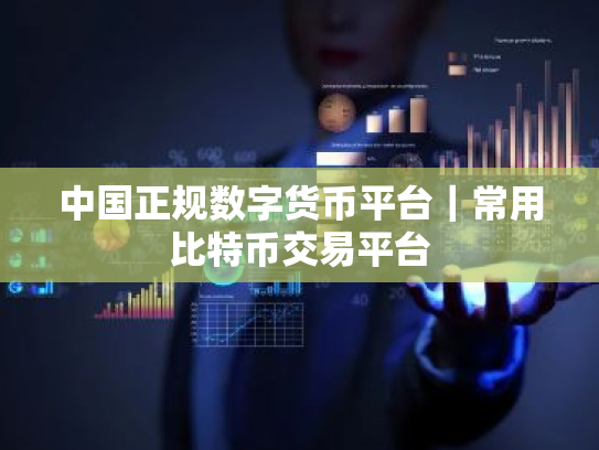 中国正规数字货币平台|常用比特币交易平台