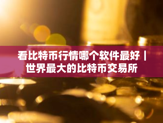 看比特币行情哪个软件最好｜世界最大的比特币交易所