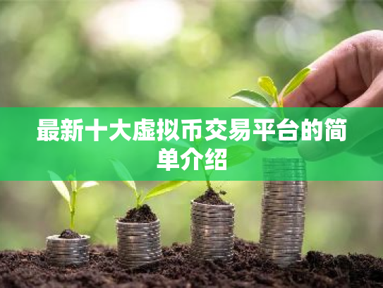 最新十大虚拟币交易平台的简单介绍