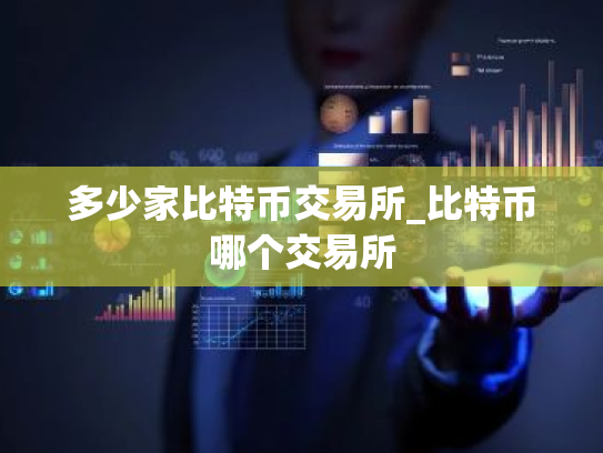 多少家比特币交易所_比特币哪个交易所