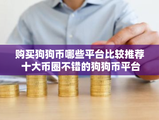 购买狗狗币哪些平台比较推荐 十大币圈不错的狗狗币平台必看