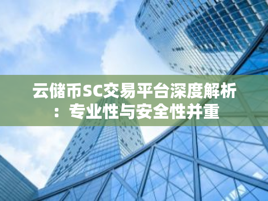 云储币SC交易平台深度解析:专业性与安全性并重