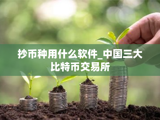 抄币种用什么软件_中国三大比特币交易所