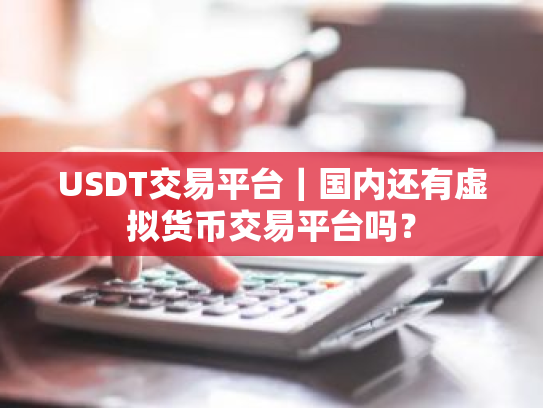 USDT交易平台｜国内还有虚拟货币交易平台吗？