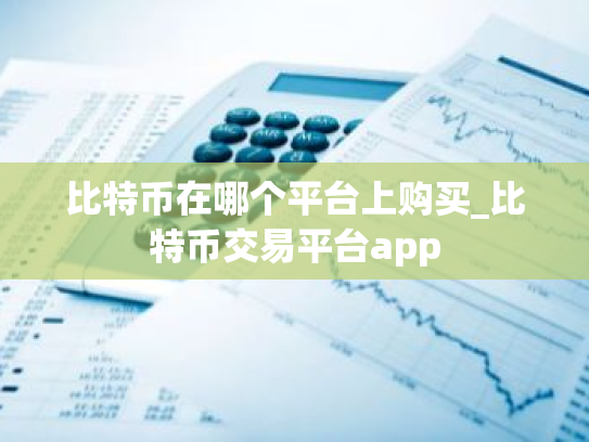 比特币在哪个平台上购买_比特币交易平台app