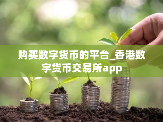 购买数字货币的平台_香港数字货币交易所app