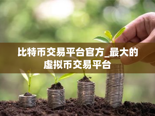 比特币交易平台官方_最大的虚拟币交易平台
