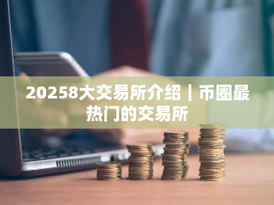 20258大交易所介绍|币圈最热门的交易所