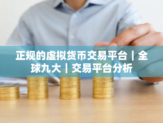 正规的虚拟货币交易平台｜全球九大｜交易平台分析