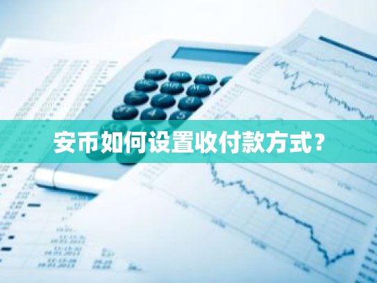 安币如何设置收付款方式？