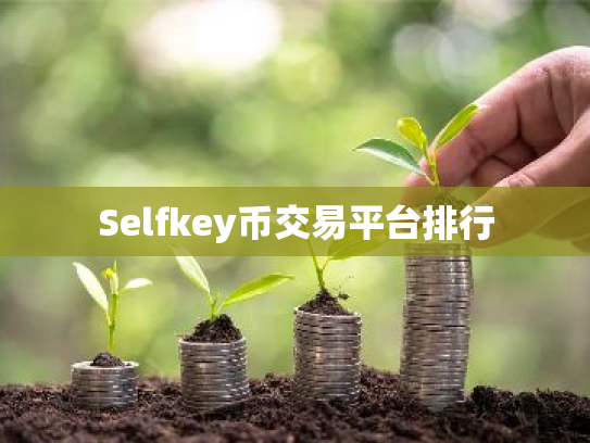 Selfkey币交易平台排行