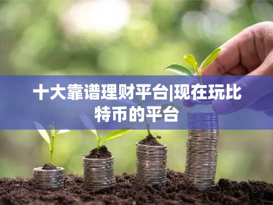 十大靠谱理财平台|现在玩比特币的平台