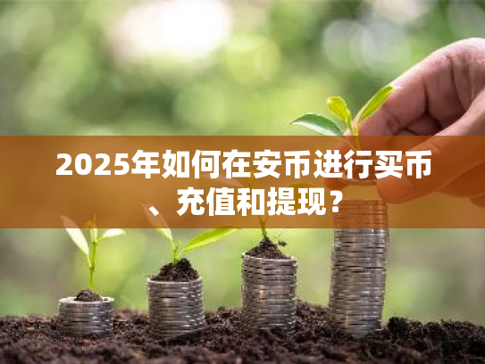 2025年如何在安币进行买币、充值和提现？