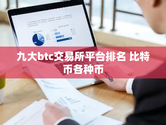 九大btc交易所平台排名 比特币各种币