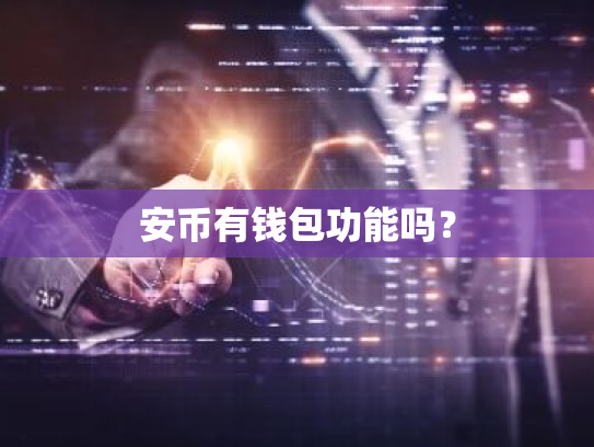 安币有钱包功能吗?