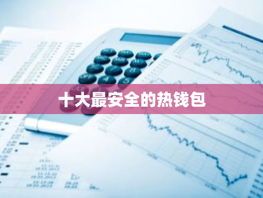 十大最安全的热钱包