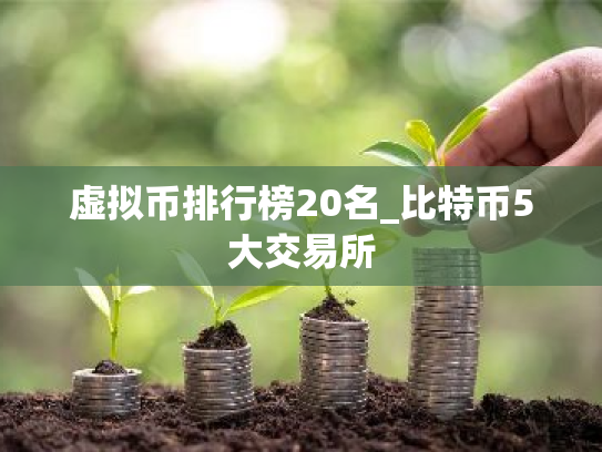虚拟币排行榜20名_比特币5大交易所