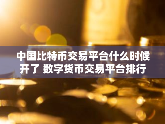 中国比特币交易平台什么时候开了 数字货币交易平台排行
