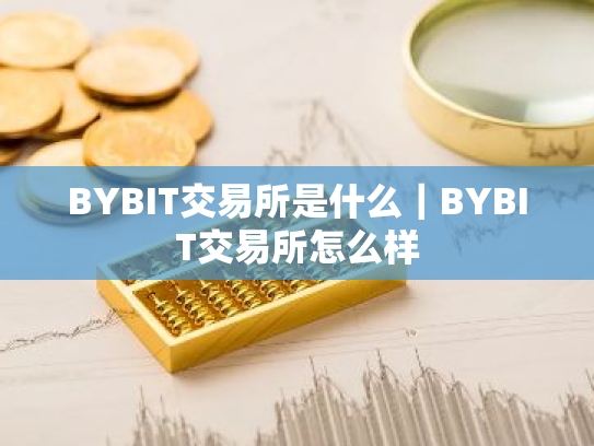 BYBIT交易所是什么｜BYBIT交易所怎么样