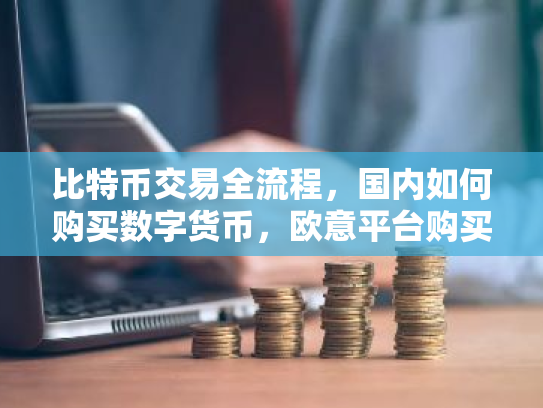 比特币交易全流程,国内如何购买数字货币,欧意平台购买教程