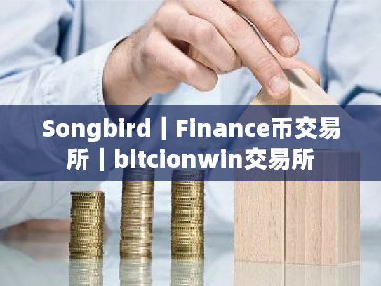 Songbird|Finance币交易所|bitcionwin交易所