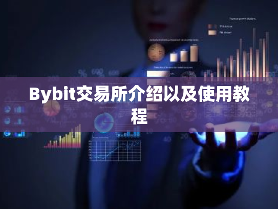 Bybit交易所介绍以及使用教程
