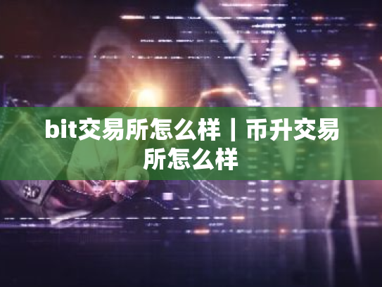 bit交易所怎么样|币升交易所怎么样