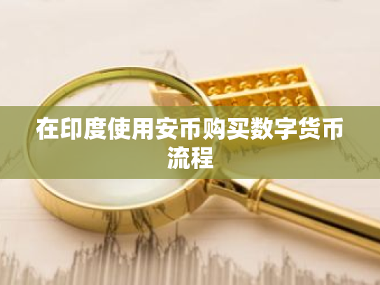 在印度使用安币购买数字货币流程