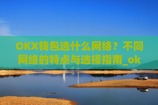 OKX钱包选什么网络?不同网络的特点与选择指南_okex钱包是什么