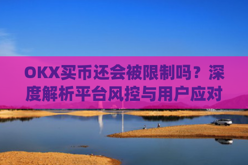 OKX买币还会被限制吗?深度解析平台风控与用户应对策略_okexapp买币流程
