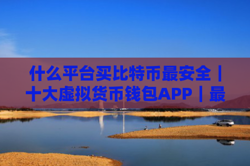 什么平台买比特币最安全｜十大虚拟货币钱包APP｜最新版本