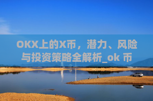 OKX上的X币，潜力、风险与投资策略全解析_ok 币