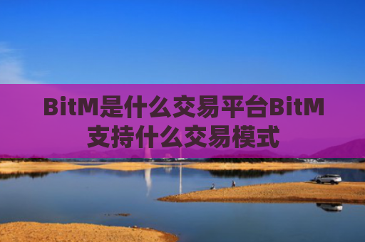 BitM是什么交易平台BitM支持什么交易模式