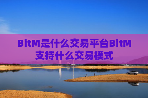BitM是什么交易平台BitM支持什么交易模式