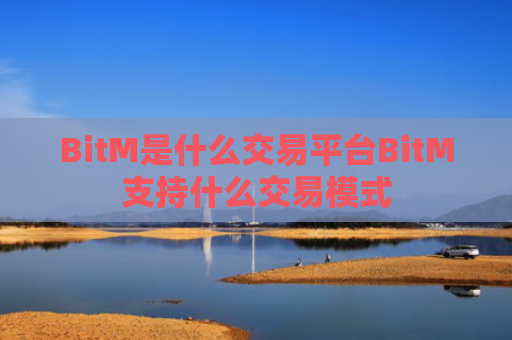 BitM是什么交易平台BitM支持什么交易模式