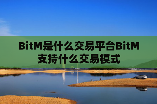 BitM是什么交易平台BitM支持什么交易模式