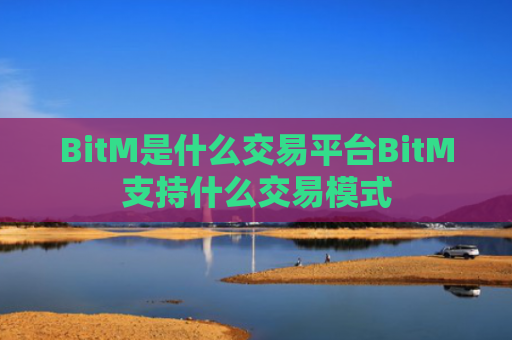 BitM是什么交易平台BitM支持什么交易模式