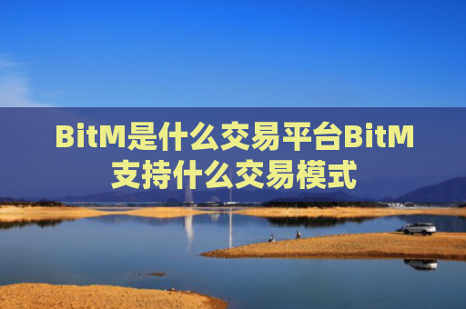 BitM是什么交易平台BitM支持什么交易模式