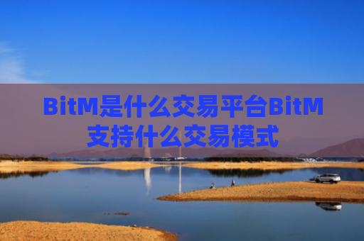 BitM是什么交易平台BitM支持什么交易模式