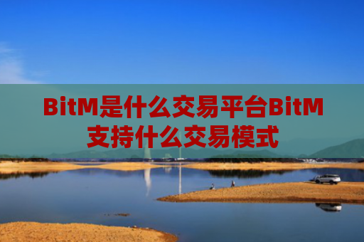 BitM是什么交易平台BitM支持什么交易模式