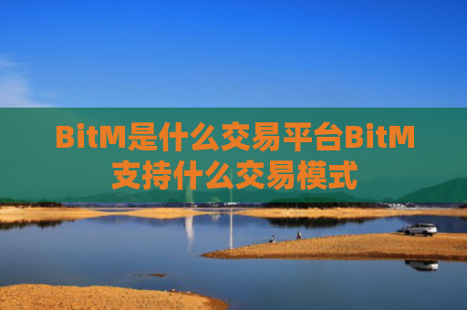 BitM是什么交易平台BitM支持什么交易模式
