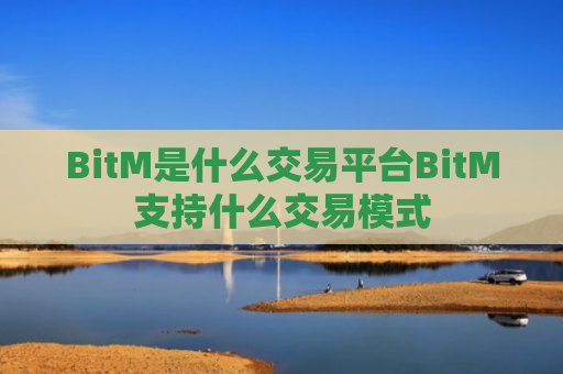 BitM是什么交易平台BitM支持什么交易模式