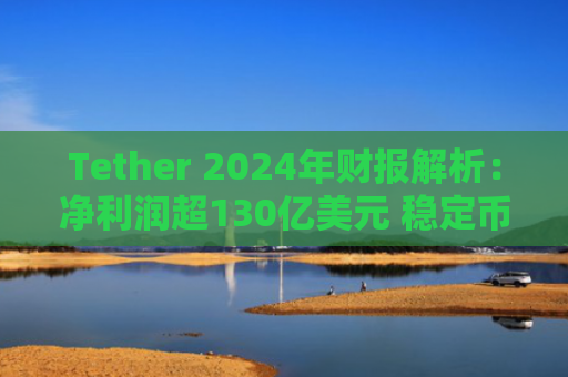Tether 2024年财报解析：净利润超130亿美元 稳定币市场领导者