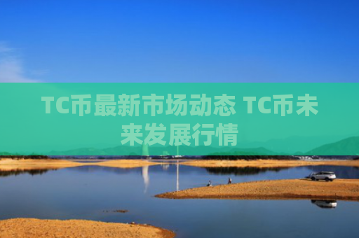 TC币最新市场动态 TC币未来发展行情