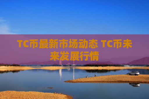 TC币最新市场动态 TC币未来发展行情